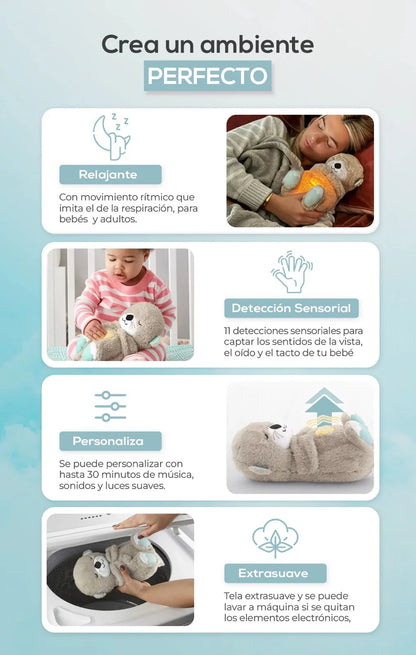 NUTRIA DORMILONA/NOCHES PLACENTERAS