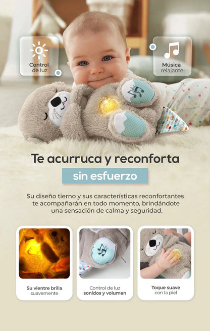 NUTRIA DORMILONA/NOCHES PLACENTERAS